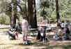 Idyllwild Park 3.jpg (135211 bytes)